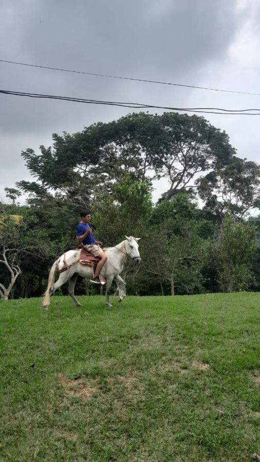 Choclino Ecolodge -Bungalows Tarapoto Bagian luar foto