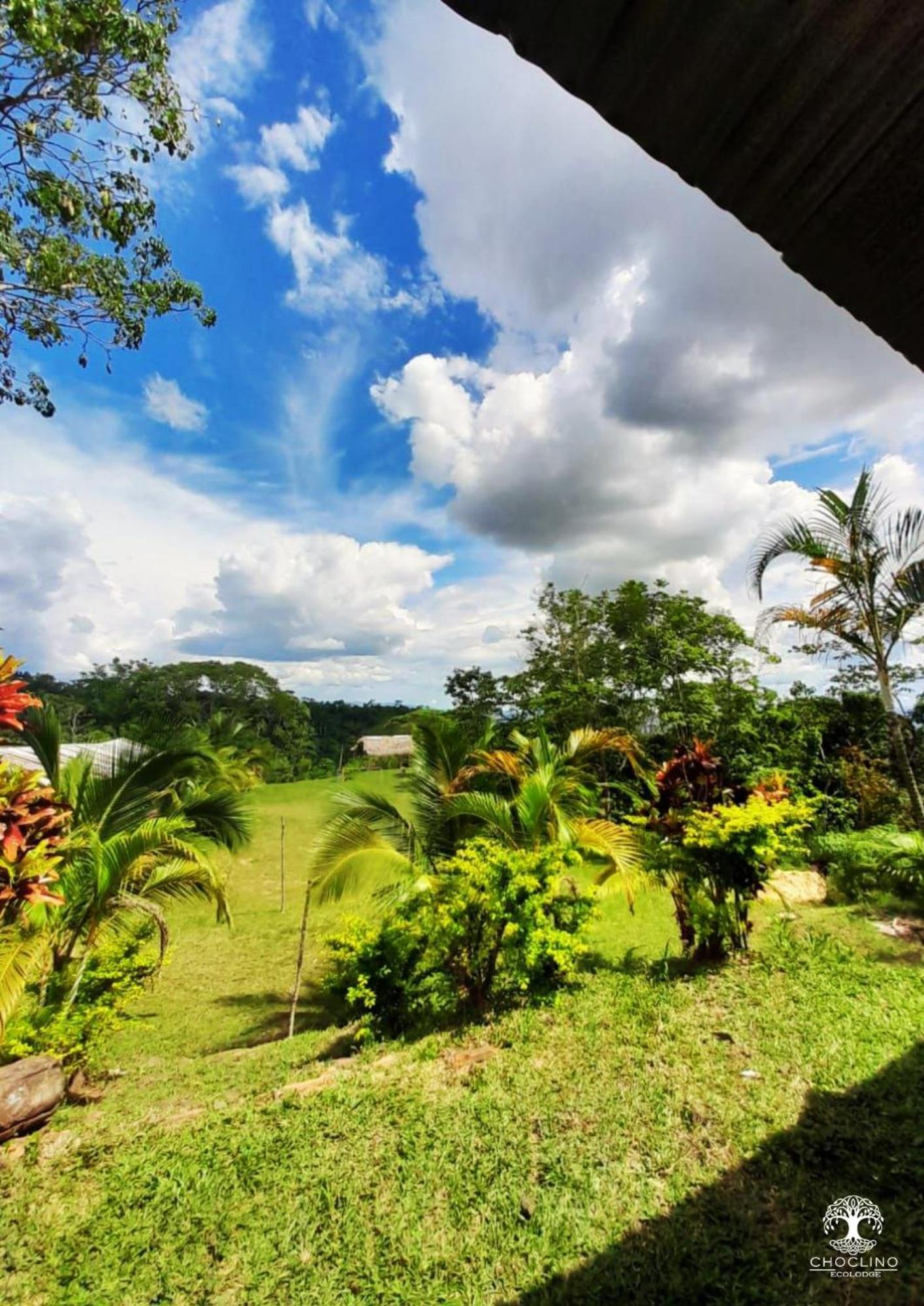 Choclino Ecolodge -Bungalows Tarapoto Bagian luar foto