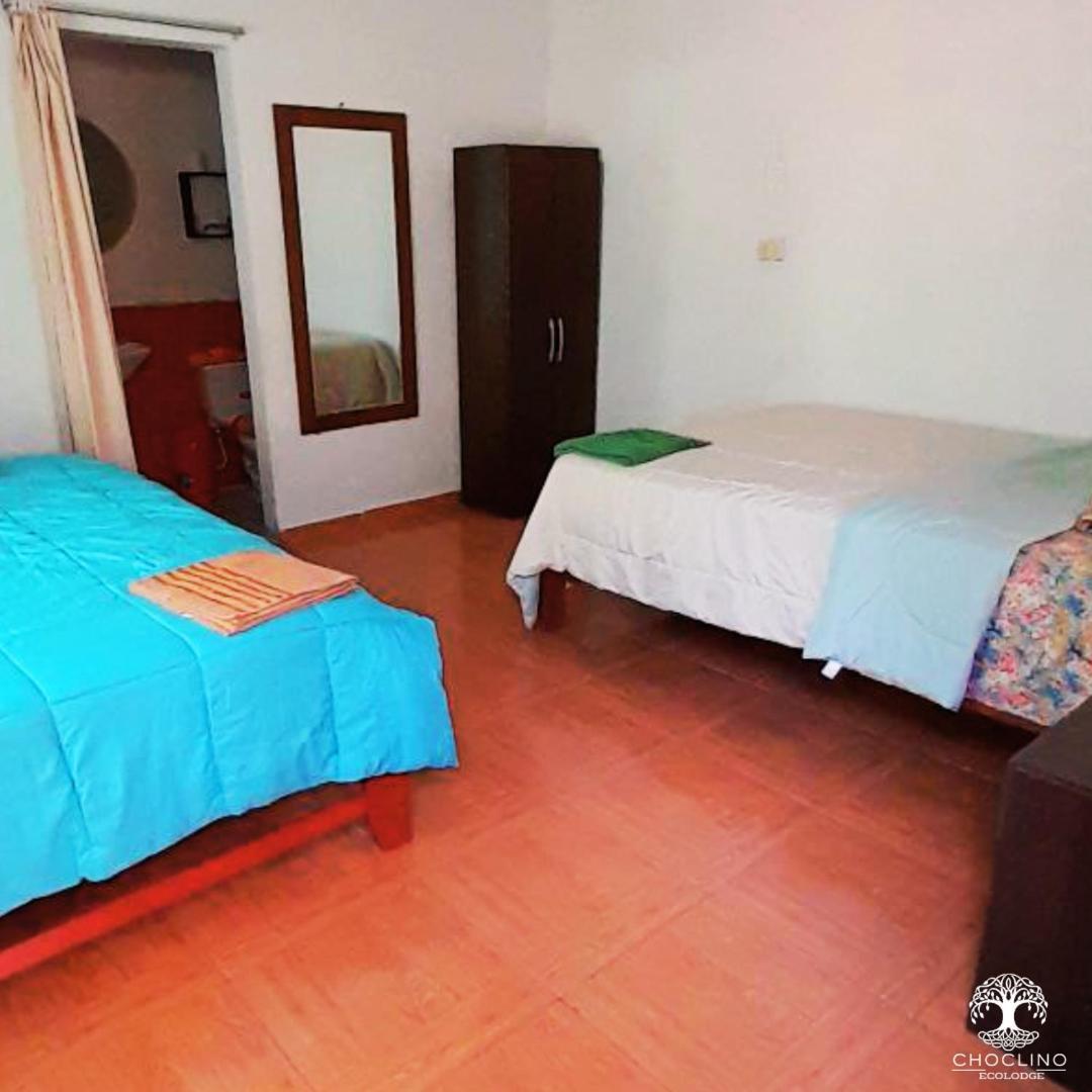 Choclino Ecolodge -Bungalows Tarapoto Bagian luar foto