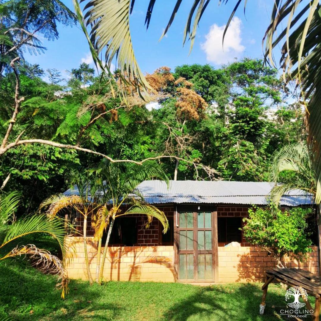 Choclino Ecolodge -Bungalows Tarapoto Bagian luar foto