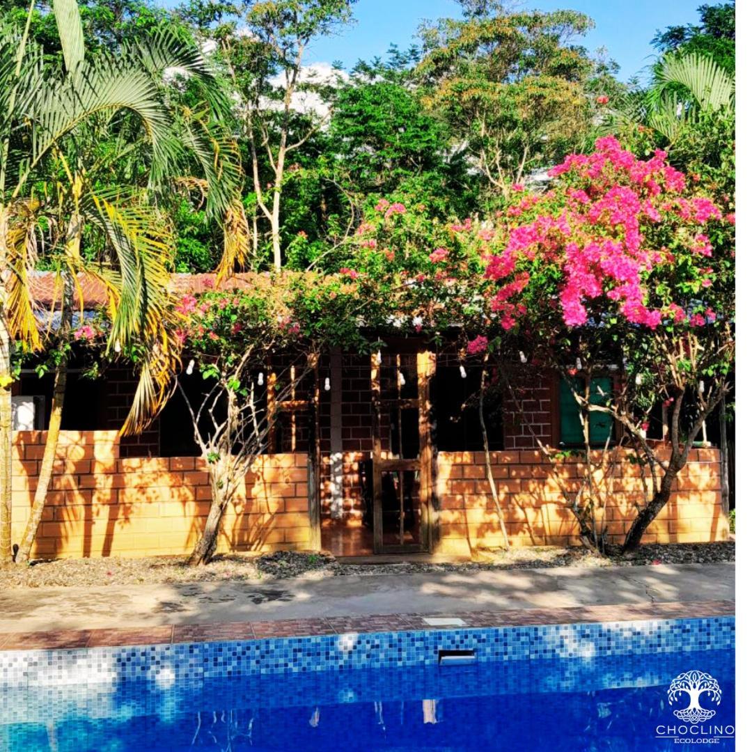 Choclino Ecolodge -Bungalows Tarapoto Bagian luar foto