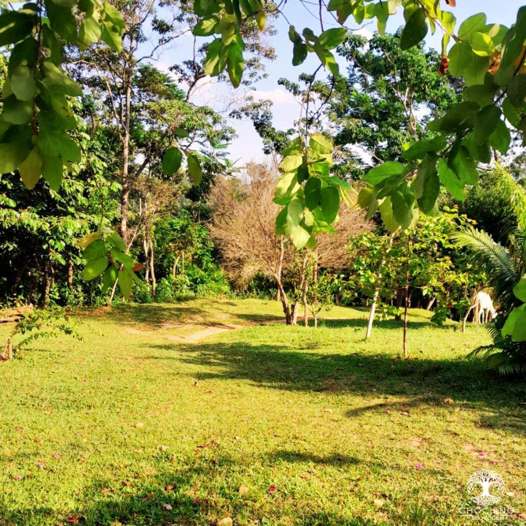Choclino Ecolodge -Bungalows Tarapoto Bagian luar foto