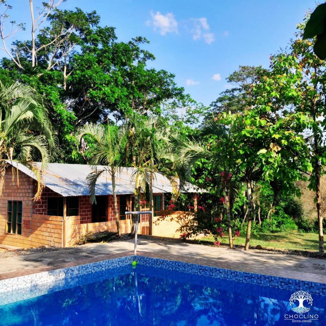 Choclino Ecolodge -Bungalows Tarapoto Bagian luar foto