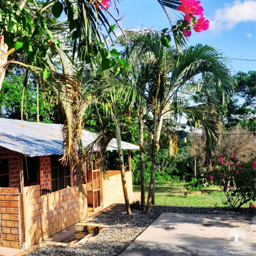Choclino Ecolodge -Bungalows Tarapoto Bagian luar foto
