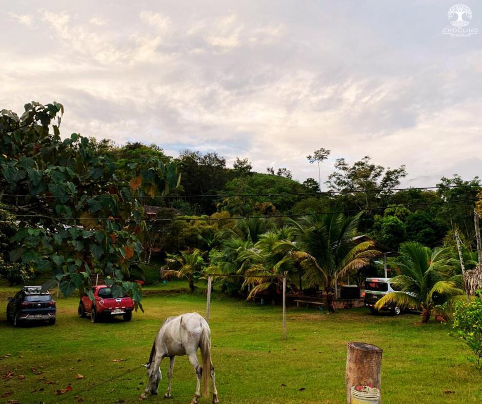 Choclino Ecolodge -Bungalows Tarapoto Bagian luar foto