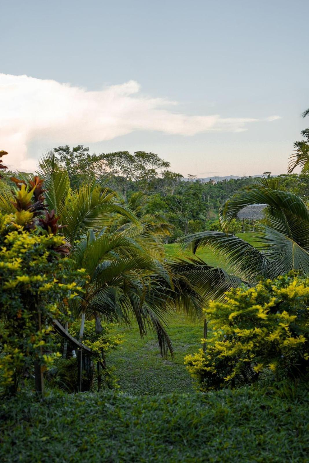 Choclino Ecolodge -Bungalows Tarapoto Bagian luar foto