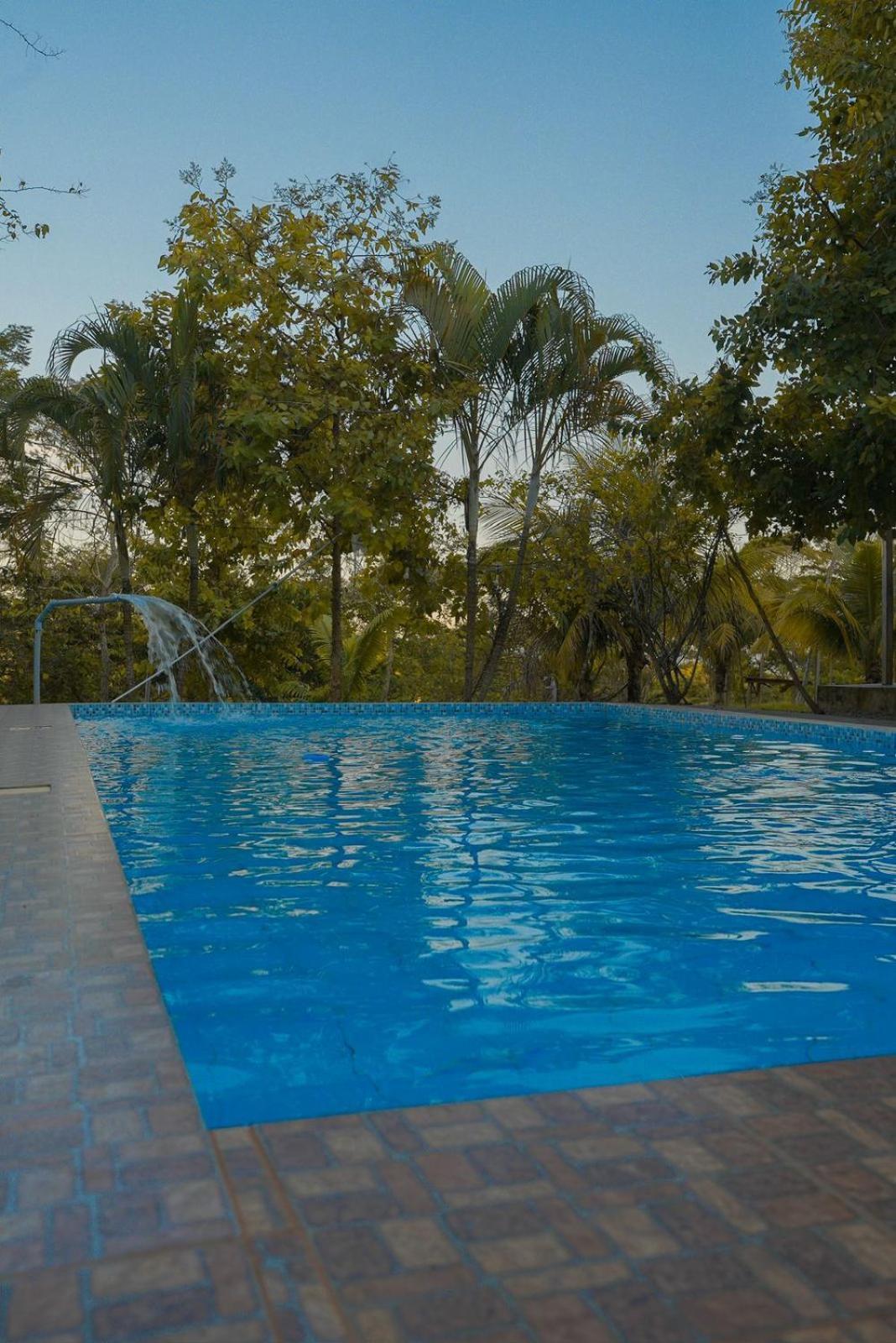 Choclino Ecolodge -Bungalows Tarapoto Bagian luar foto